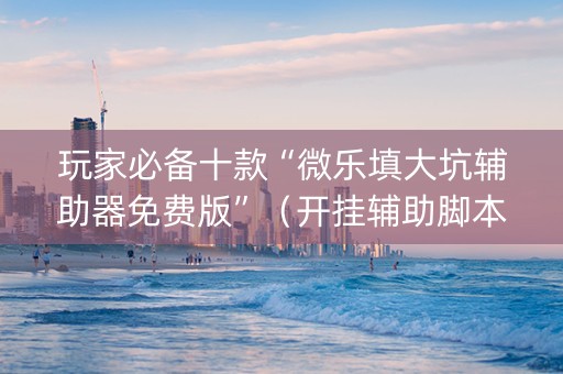 玩家必备十款“微乐填大坑辅助器免费版”（开挂辅助脚本)
