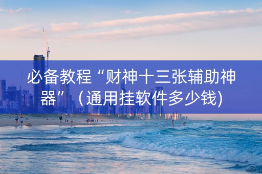 必备教程“财神十三张辅助神器”（通用挂软件多少钱)