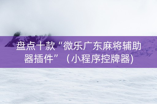 盘点十款“微乐广东麻将辅助器插件”（小程序控牌器)
