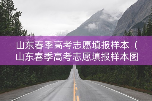 山东春季高考志愿填报样本（山东春季高考志愿填报样本图片）