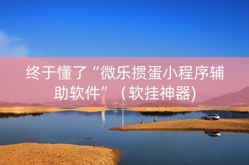 终于懂了“微乐掼蛋小程序辅助软件”（软挂神器)