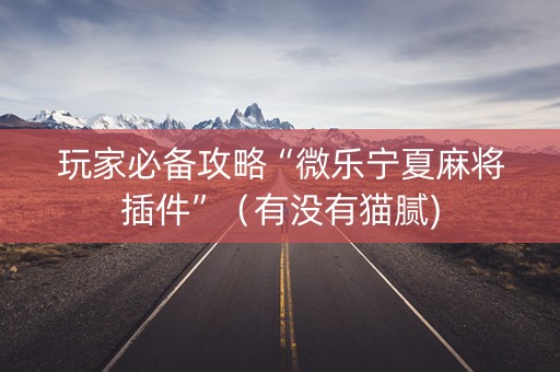 玩家必备攻略“微乐宁夏麻将插件”（有没有猫腻)