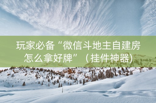 玩家必备“微信斗地主自建房怎么拿好牌”（挂件神器)