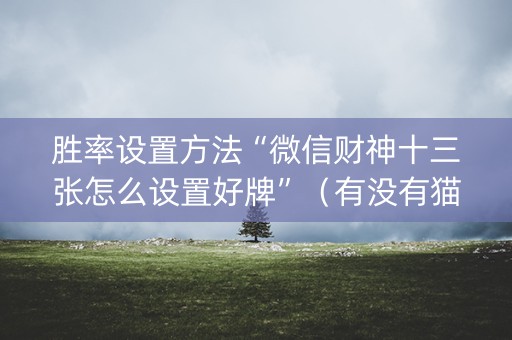 胜率设置方法“微信财神十三张怎么设置好牌”（有没有猫腻)