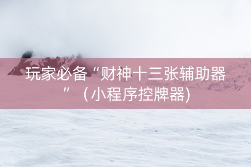 玩家必备“财神十三张辅助器”（小程序控牌器)