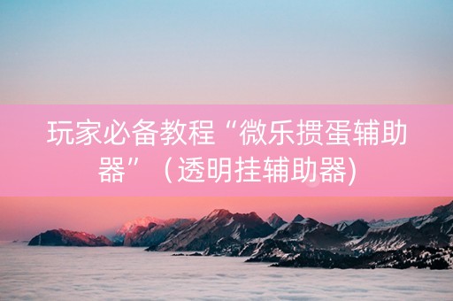 玩家必备教程“微乐掼蛋辅助器”（透明挂辅助器)