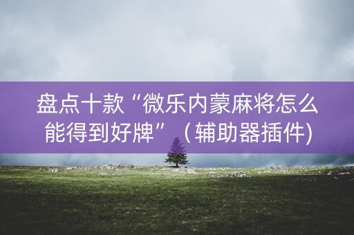 盘点十款“微乐内蒙麻将怎么能得到好牌”（辅助器插件)