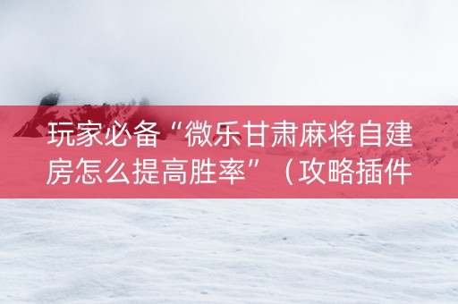 玩家必备“微乐甘肃麻将自建房怎么提高胜率”（攻略插件)