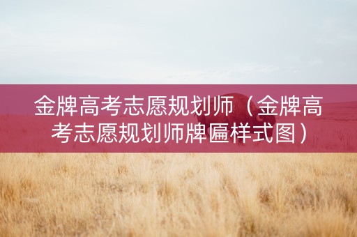 金牌高考志愿规划师（金牌高考志愿规划师牌匾样式图）