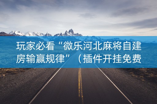 玩家必看“微乐河北麻将自建房输赢规律”（插件开挂免费AI)
