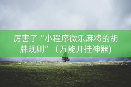 厉害了“小程序微乐麻将的胡牌规则”（万能开挂神器)
