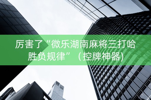 厉害了“微乐湖南麻将三打哈胜负规律”（控牌神器)