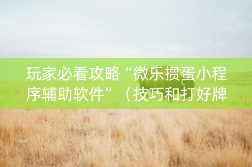 玩家必看攻略“微乐掼蛋小程序辅助软件”（技巧和打好牌方法)