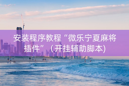 安装程序教程“微乐宁夏麻将插件”（开挂辅助脚本)