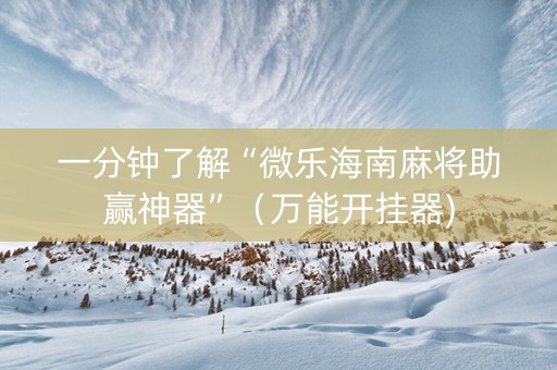 一分钟了解“微乐海南麻将助赢神器”（万能开挂器)
