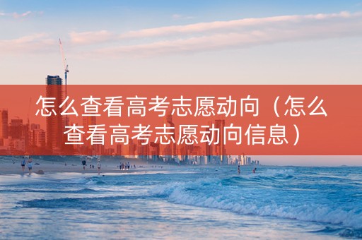 怎么查看高考志愿动向（怎么查看高考志愿动向信息）