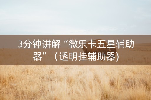 3分钟讲解“微乐卡五星辅助器”（透明挂辅助器)