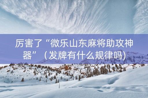 厉害了“微乐山东麻将助攻神器”（发牌有什么规律吗)