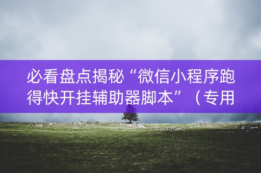 必看盘点揭秘“微信小程序跑得快开挂辅助器脚本”（专用神器下载)