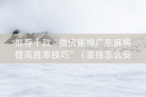 推荐十款“微信雀神广东麻将提高胜率技巧”（装挂怎么安装)