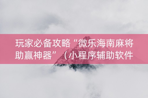 玩家必备攻略“微乐海南麻将助赢神器”（小程序辅助软件)