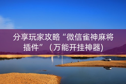 分享玩家攻略“微信雀神麻将插件”（万能开挂神器)