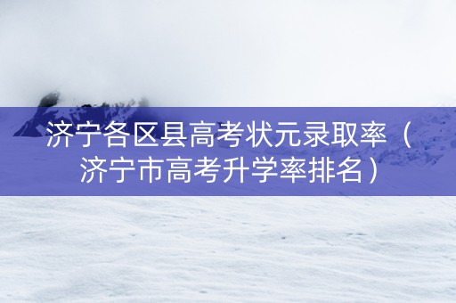 济宁各区县高考状元录取率（济宁市高考升学率排名）