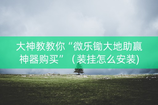 大神教教你“微乐锄大地助赢神器购买”（装挂怎么安装)