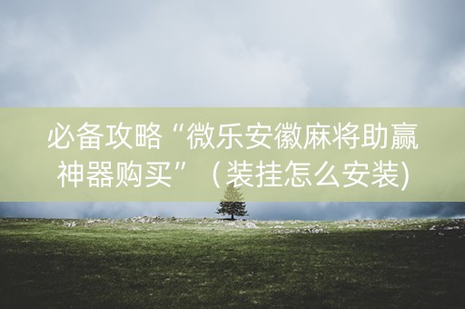 必备攻略“微乐安徽麻将助赢神器购买”（装挂怎么安装)