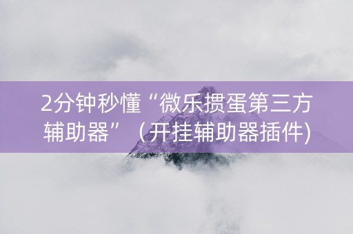 2分钟秒懂“微乐掼蛋第三方辅助器”（开挂辅助器插件)