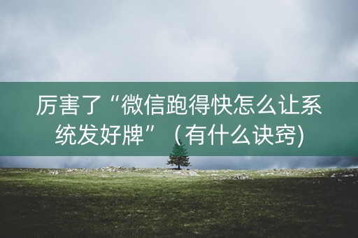 厉害了“微信跑得快怎么让系统发好牌”（有什么诀窍)