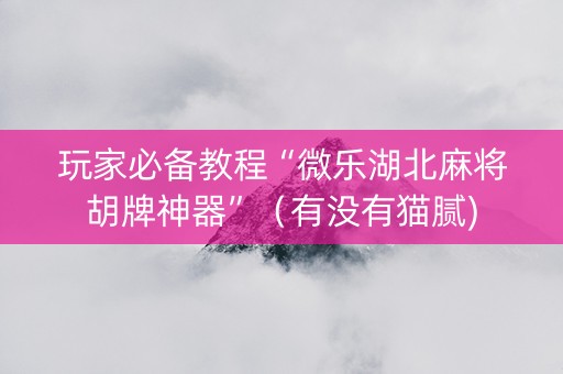 玩家必备教程“微乐湖北麻将胡牌神器”（有没有猫腻)