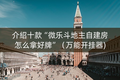 介绍十款“微乐斗地主自建房怎么拿好牌”（万能开挂器)