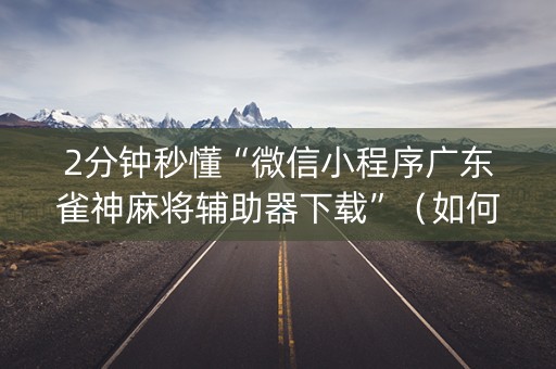 2分钟秒懂“微信小程序广东雀神麻将辅助器下载”（如何让系统发好牌)
