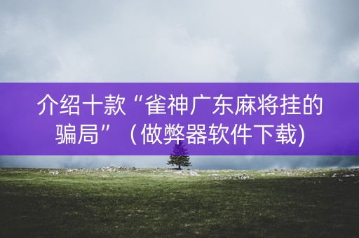 介绍十款“雀神广东麻将挂的骗局”（做弊器软件下载)