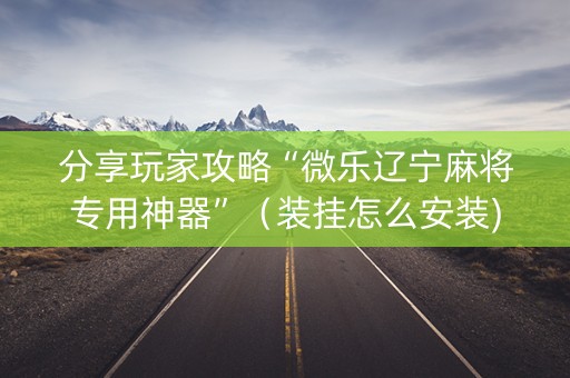 分享玩家攻略“微乐辽宁麻将专用神器”（装挂怎么安装)