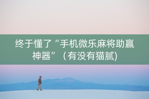 终于懂了“手机微乐麻将助赢神器”（有没有猫腻)