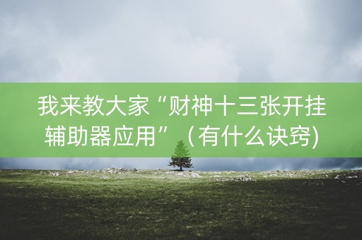 我来教大家“财神十三张开挂辅助器应用”（有什么诀窍)