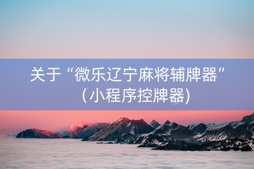 关于“微乐辽宁麻将辅牌器”（小程序控牌器)