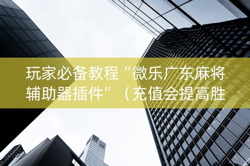 玩家必备教程“微乐广东麻将辅助器插件”（充值会提高胜率么)