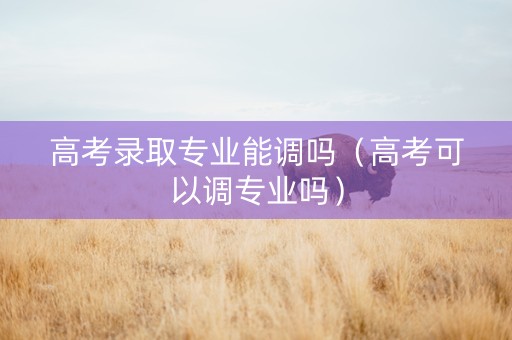 高考录取专业能调吗（高考可以调专业吗）
