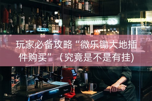 玩家必备攻略“微乐锄大地插件购买”（究竟是不是有挂)