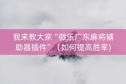 我来教大家“微乐广东麻将辅助器插件”（如何提高胜率)
