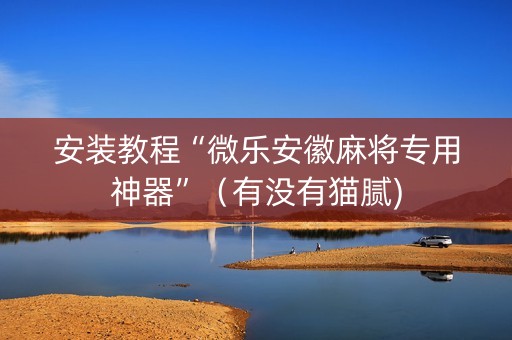 安装教程“微乐安徽麻将专用神器”（有没有猫腻)