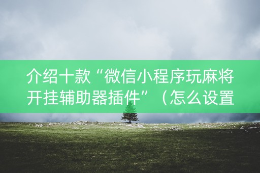 介绍十款“微信小程序玩麻将开挂辅助器插件”（怎么设置能有好牌)