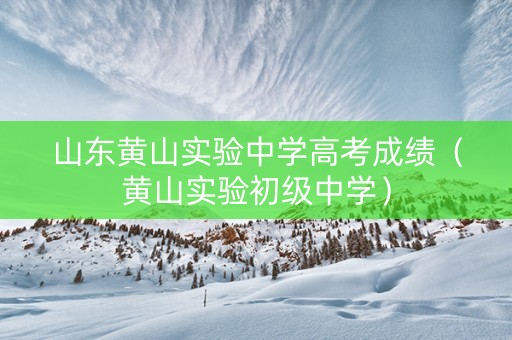 山东黄山实验中学高考成绩（黄山实验初级中学）