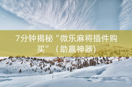 7分钟揭秘“微乐麻将插件购买”（助赢神器)