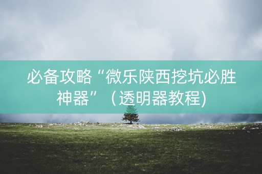 必备攻略“微乐陕西挖坑必胜神器”（透明器教程)