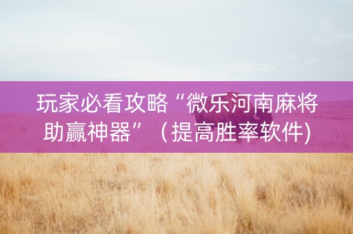玩家必看攻略“微乐河南麻将助赢神器”（提高胜率软件)