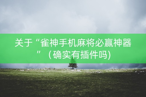 关于“雀神手机麻将必赢神器”（确实有插件吗)
